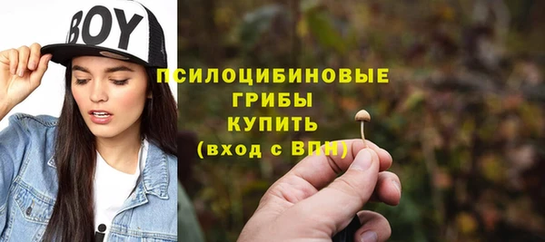дживик Новодвинск