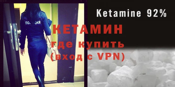гидра Новозыбков