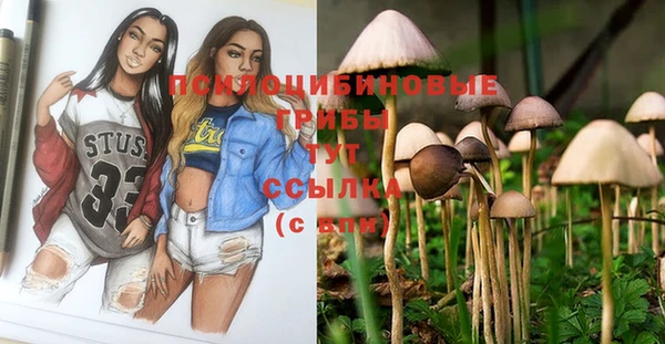 экстази Няндома