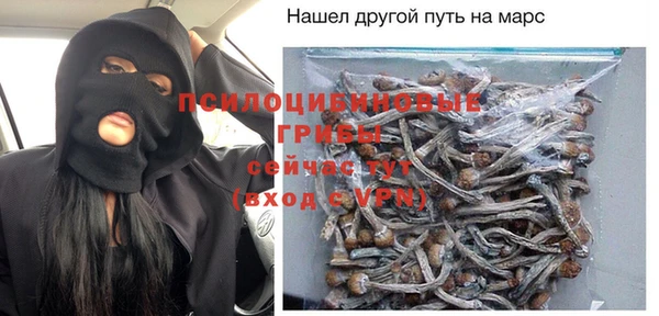 ПСИЛОЦИБИНОВЫЕ ГРИБЫ Приозерск
