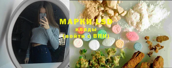 амф Губаха