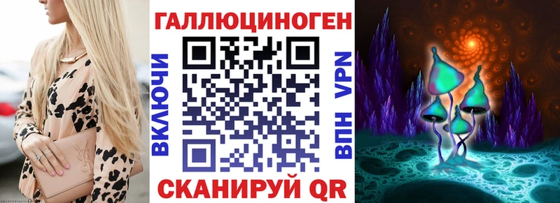 ссылка на мегу вход  Новокубанск  Галлюциногенные грибы Magic Shrooms 